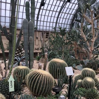 Garfield Park Conservatory - Cactus - Parks Near Me - Chicago, Illinois