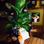 Photo of Ramona's Flowers