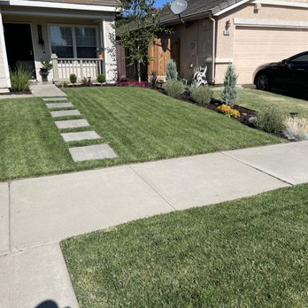 Deo Gloria Lawn Care - a front yard - Lawn Services Near Me Deo Gloria Lawn Care - a front yard - Lawn Services Near Me