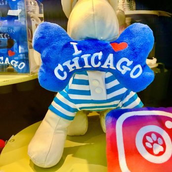 Tails in the City - Front Window Display-May 2020 - Pet Stores Near Me - Chicago, Illinois Tails in the City - Front Window Display-May 2020 - Pet Stores Near Me - Chicago, Illinois
