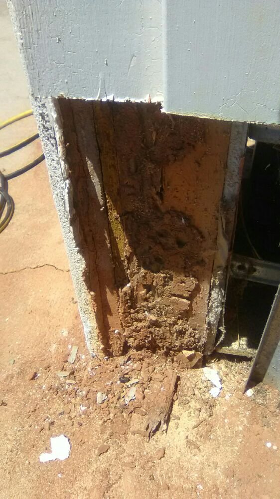 Slide of Supreme 1 Restorations