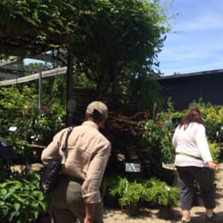 Wavecrest Nursery & Landscaping