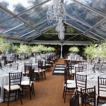 Geranios Flowers - Florists Near Me - Miami, Florida Geranios Flowers - Florists Near Me - Miami, Florida
