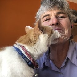 Powers with Animals