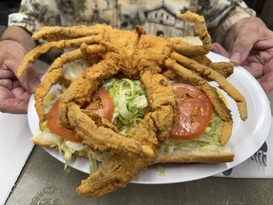 Radosta's Po-boys by null