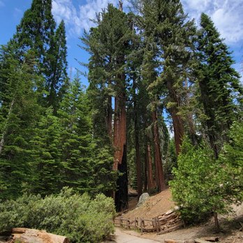 Kings Canyon National Park - Parks Near Me - Three Rivers, California Kings Canyon National Park - Parks Near Me - Three Rivers, California