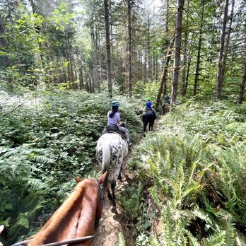 Equine Escapes - Horseback Riding Near Me - Issaquah, Washington Equine Escapes - Horseback Riding Near Me - Issaquah, Washington