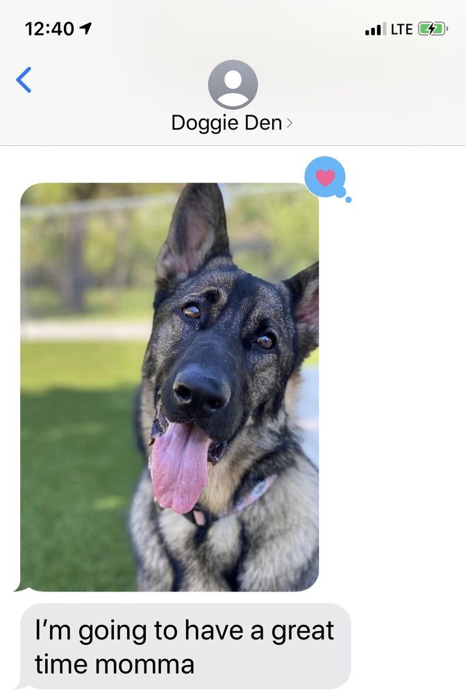 THE DOGGIE DEN Updated August 2024 139 Clermont Rd, Fairmont, West