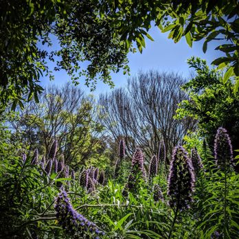 Secret Garden - Parks Near Me - Huntington Beach, California Secret Garden - Parks Near Me - Huntington Beach, California
