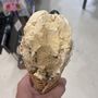 Photo of Richlands Creamery
