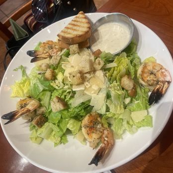 Panini Kabob Grill - Shrimp salad - Mediterranean Near Me - Long Beach, California Panini Kabob Grill - Shrimp salad - Mediterranean Near Me - Long Beach, California