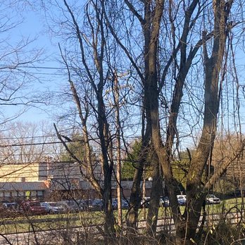 William's Tree Service - two dead trees on the list to be taken down and he didn't complete the job - Tree Services Near Me - Bensalem, Pennsylvania