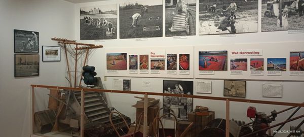 Cranberry Museum by null