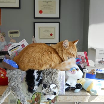 VCA Canada Landing Animal Clinic - Veterinarians Near Me - Calgary, Alberta VCA Canada Landing Animal Clinic - Veterinarians Near Me - Calgary, Alberta