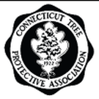 New England Arborist Tree Care - Tree Services Near Me - Tolland, Connecticut New England Arborist Tree Care - Tree Services Near Me - Tolland, Connecticut