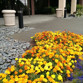 Santa Rosa Airway Center Lab - Entrance flowers.  Cheerful, neat and clean. - Sports Medicine Near Me - Santa Rosa, California
