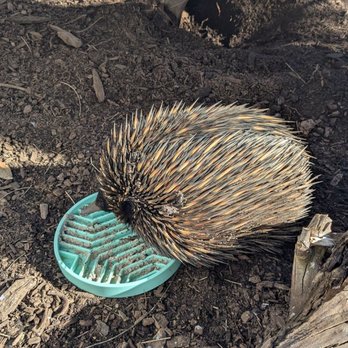 1. Oakvale Wildlife Park