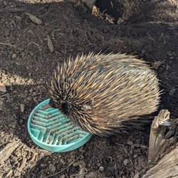 Oakvale Wildlife Park