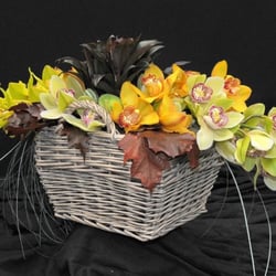 Fiorit - Rami di Orchidee fiorite http://www.fiorit.it/fiori/Orchidee/830/
