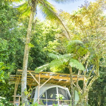 House of Light Sanctuary - Glamping Tent - book it through HipCamp - Naturopathic/Holistic Near Me - Hilo, Hawaii House of Light Sanctuary - Glamping Tent - book it through HipCamp - Naturopathic/Holistic Near Me - Hilo, Hawaii