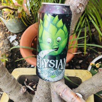 Harry's Liquor - Elysian IPA (4) - Beer, Wine & Spirits Near Me - Oakland, California