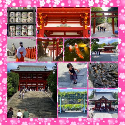 Tsurugaoka Hachimangu by null