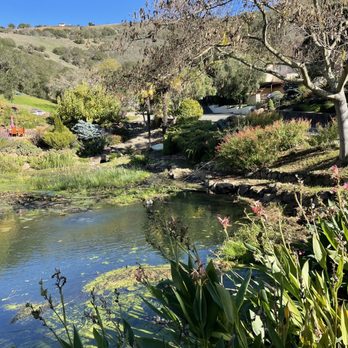 Vine Cliff Winery - a view of a pond and a bridge - Wineries Near Me - Napa, California Vine Cliff Winery - a view of a pond and a bridge - Wineries Near Me - Napa, California