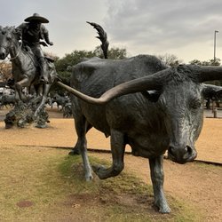 Pioneer Plaza Cattle Drive - Pioneer square 1/9/26