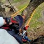 Photo of Dizzy Creek Tree and Lawn Service
