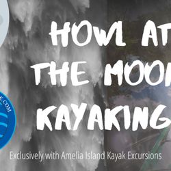 Amelia Island Kayak Excursions