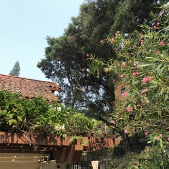 Roberto's Tree Services - How it looks - Tree Services Near Me Roberto's Tree Services - How it looks - Tree Services Near Me