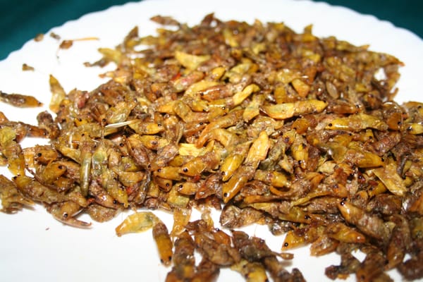 Jaliz Cuisine of East Africa by null