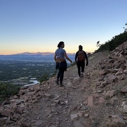The Living Room Trail