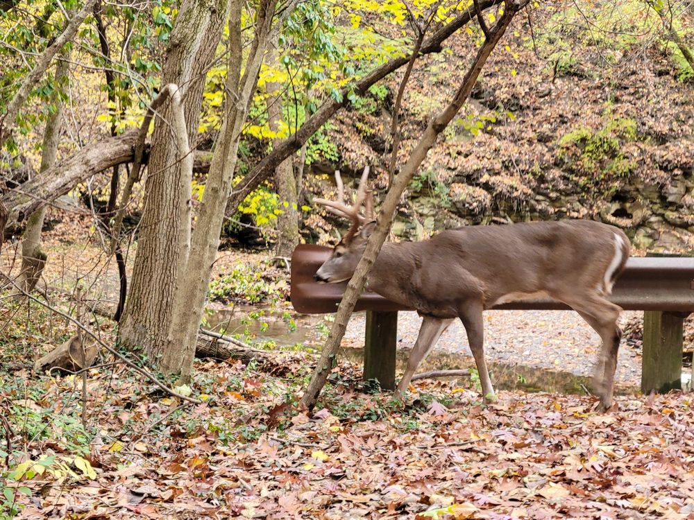 OVERBROOK RAVINE PARK Updated October 2024 100 Overbrook Dr