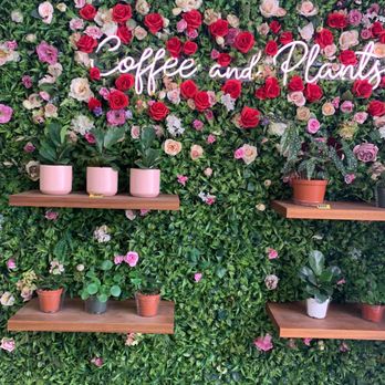 Coffee and Plants - Coffee & Tea Near Me - Pasadena, California