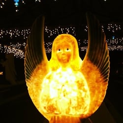 Light up the park Christmas event