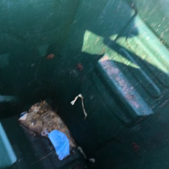Bye Bye Maggots - Pressure Washers Near Me Bye Bye Maggots - Pressure Washers Near Me