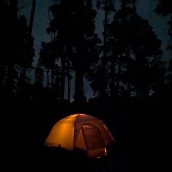 Woodside Campground - Site 41 at night - Campgrounds Near Me - Jenner, California