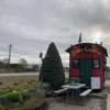 The Loose Caboose gift card