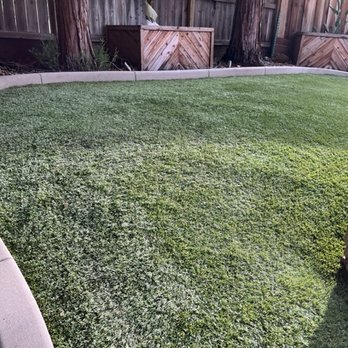 Kwik Kerb of Folsom - a backyard with a green lawn - Landscaping Near Me