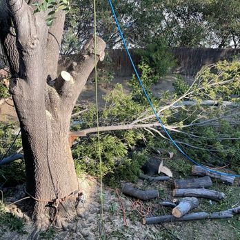 Lopez Landscape & Tree Service - Tree Services Near Me