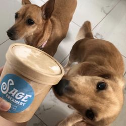Sage Creamery