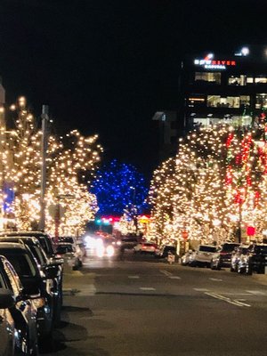 ELEMENT Home | Furnishings & Fine Art by null