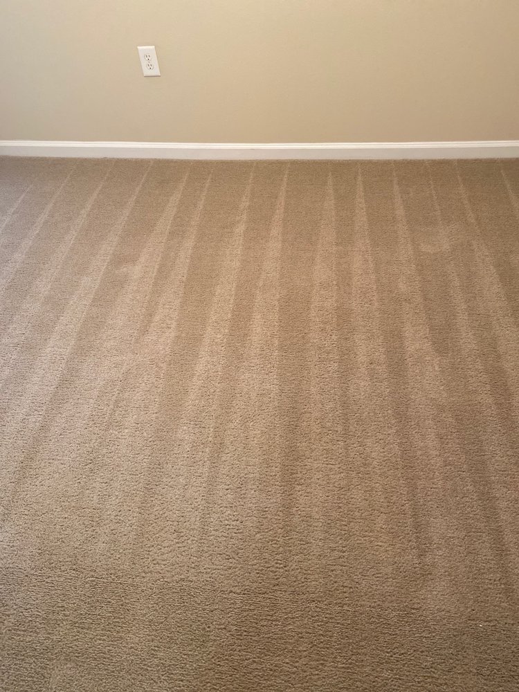 GREEN ALTERNATIVE CLEANING Updated September 2024 16 Photos & 10