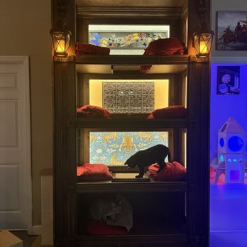 Naughty Cat Cafe - Coffee & Tea Near Me - Chattanooga, Tennessee Naughty Cat Cafe - Coffee & Tea Near Me - Chattanooga, Tennessee