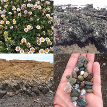 Moonstone Beach - Some fun textures from our morning walk - Beaches Near Me - Cambria, California