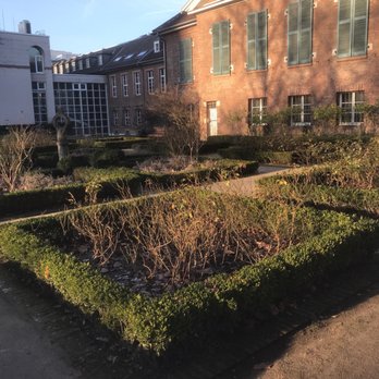 Rosengarten am Stadtmuseum - Parks Near Me - Dusseldorf, NW