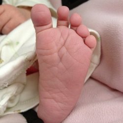 Melissa Harrell Doula Services