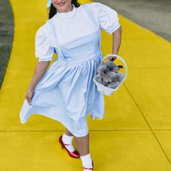 Costume Junction - Follow the yellow brick road