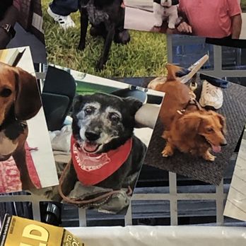 Hy-Vee Fast & Fresh - Lady made in on their dog wall - Convenience Stores Near Me - Overland Park, Kansas Hy-Vee Fast & Fresh - Lady made in on their dog wall - Convenience Stores Near Me - Overland Park, Kansas